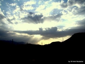 DSC09554
