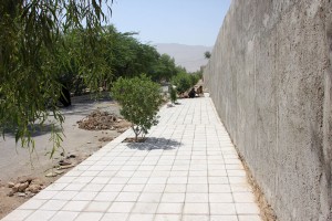IMG 7804