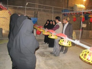 139012keshavarzi 2