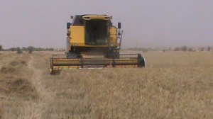 keshavarzi9102031