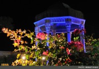 hafez